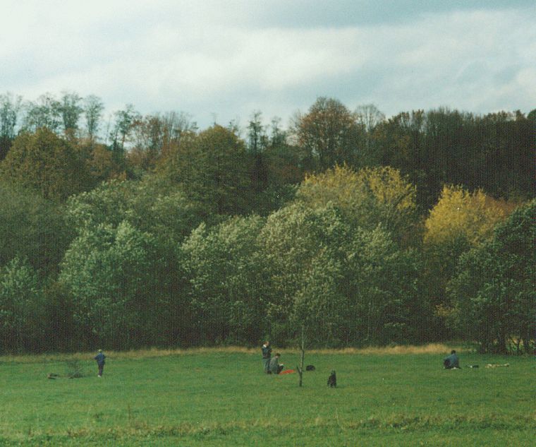 Under construction